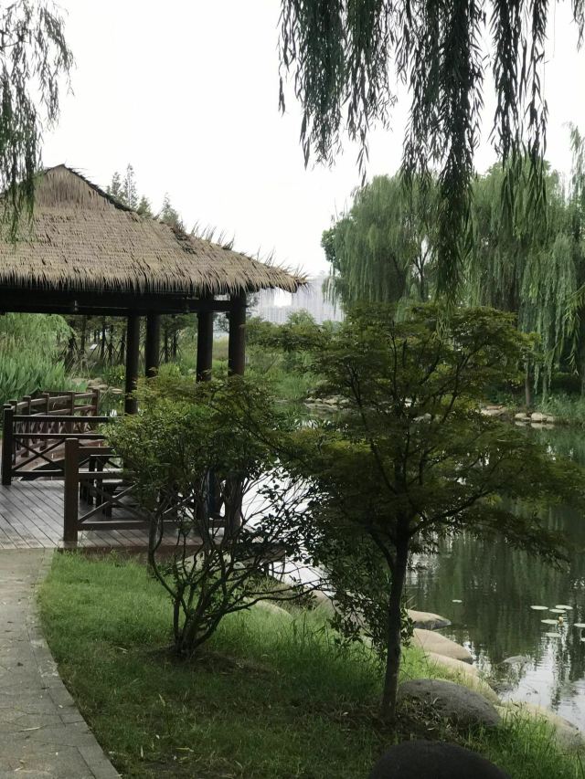 常熟荷香洲公园攻略,常熟荷香洲公园门票/游玩攻略/地址/图片/门票