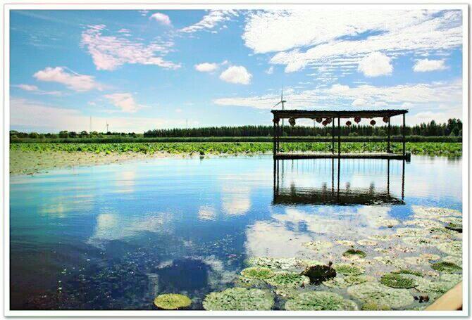 那木斯莱湿地