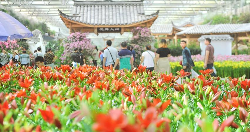 花舞人间