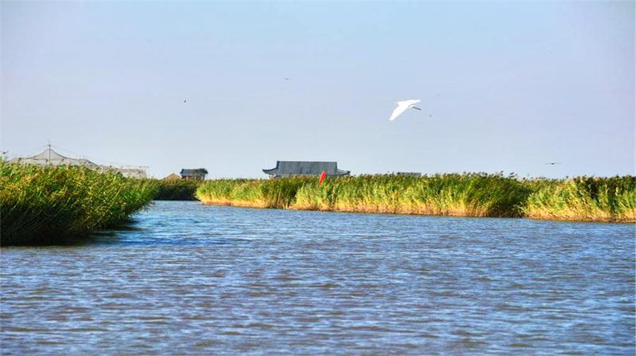 东方华地城湿地风景区