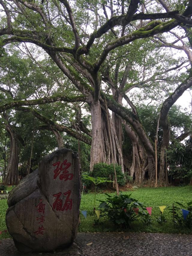 彩雲之南,第三次進雲南,大環線,全程30天 - 雲南遊記攻略【攜程攻略】