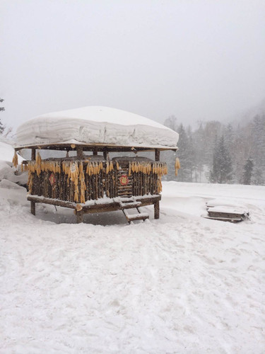 东方小巴黎 两个人的哈尔滨