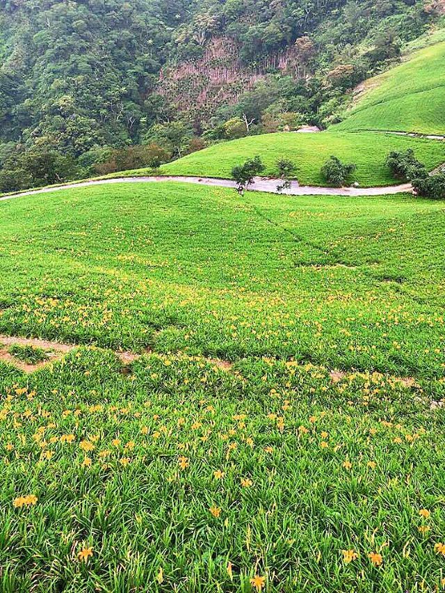 taimali kinchen mountain