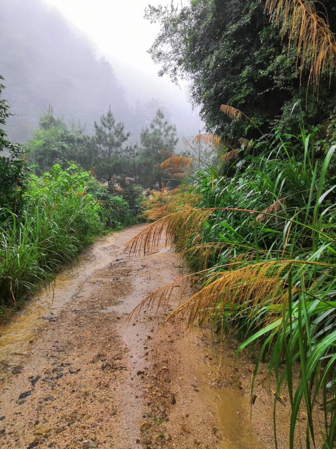 褒忠山