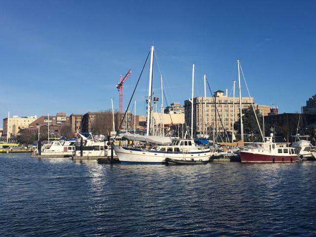 維多利亞victoria harbour ferry攻略,維多利亞victoria harbour