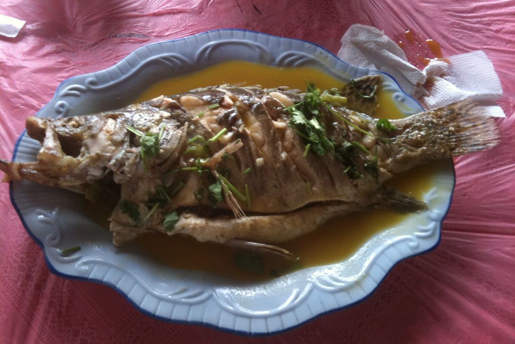 东北自驾游39:吉林—松花湖