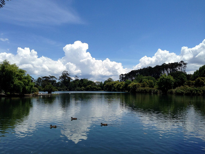 巨蟹天秤疯玩澳洲