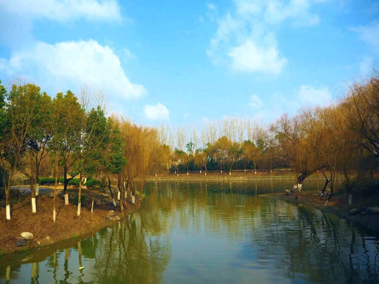 七桥瓮湿地文化中心