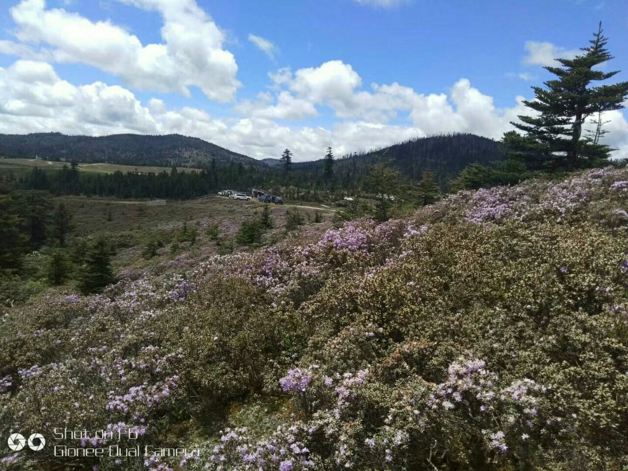 碧沽天池赏花海