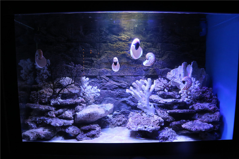 最新网红打卡地!超惊艳的银河隧道~~来正佳一