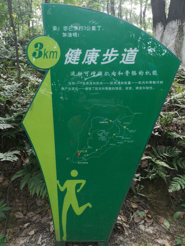 宜宾翠屏山公园路线图片