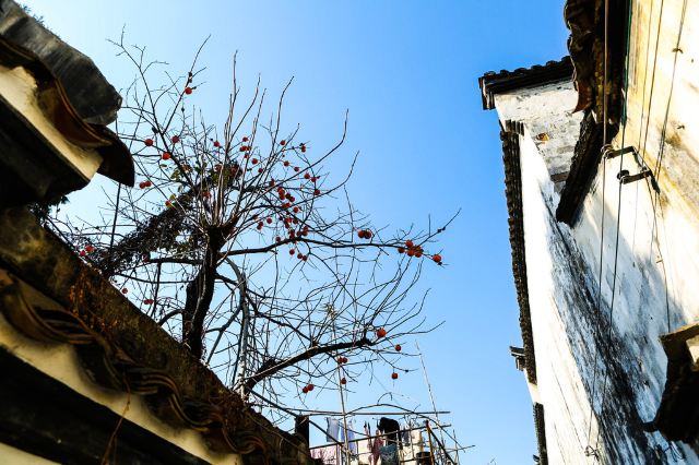 剑川长乐村攻略,剑川长乐村门票/游玩攻略/地址/图片/门票价格【携程