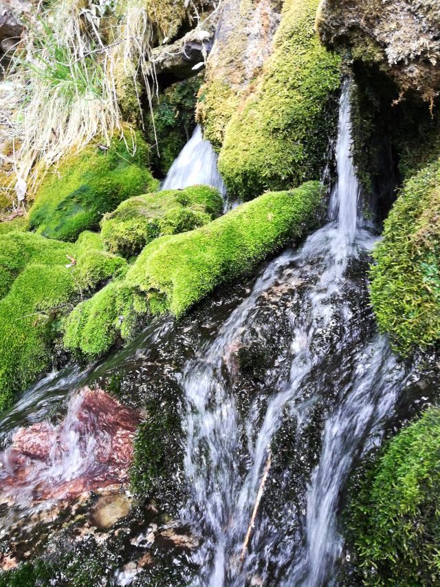 泸沽湖阿夏幽谷攻略,泸沽湖阿夏幽谷门票/游玩攻略/地址/图片/门票