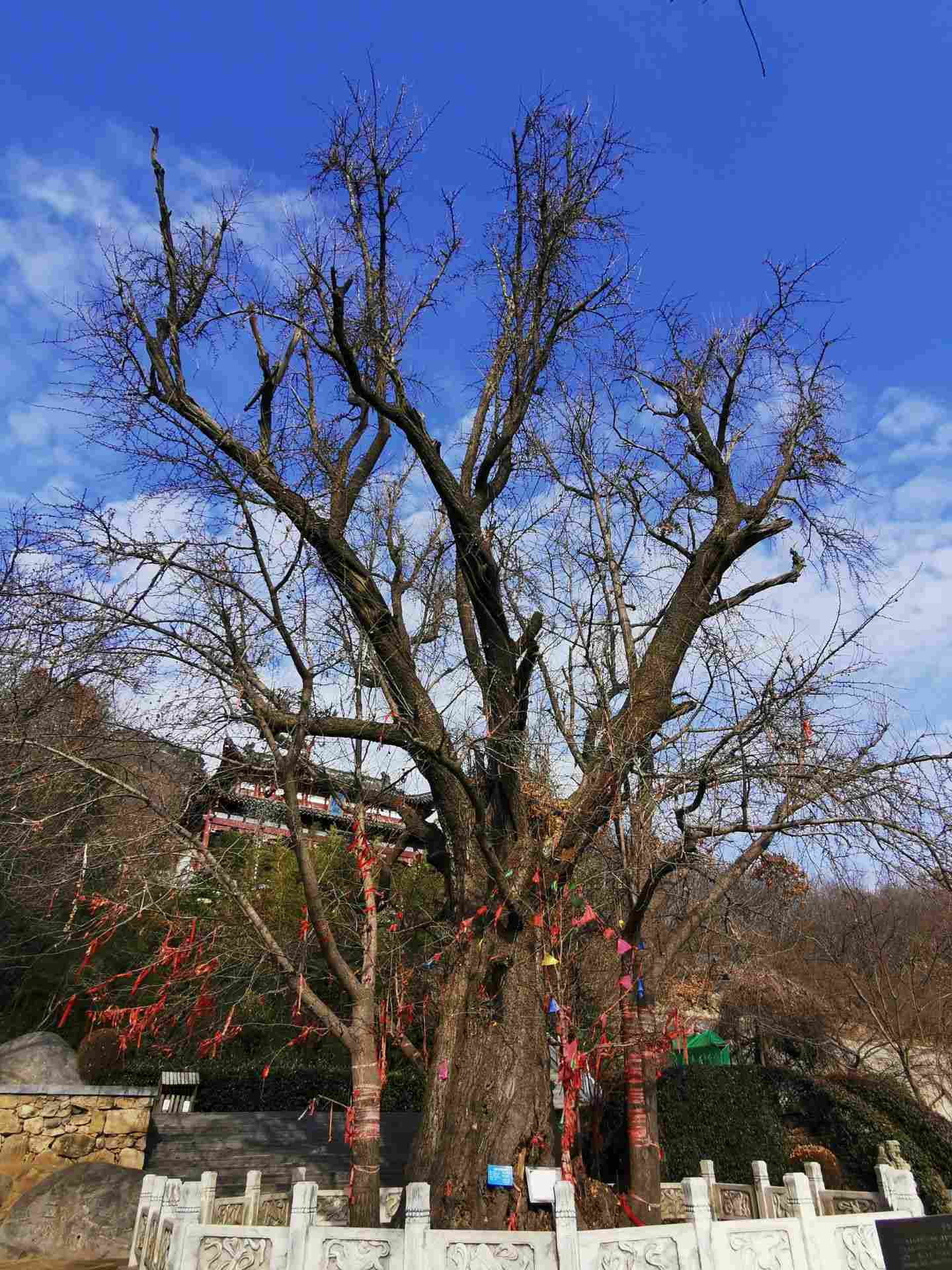 冠山风景旅游区