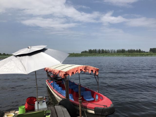 烧车淀(白洋淀湿地)