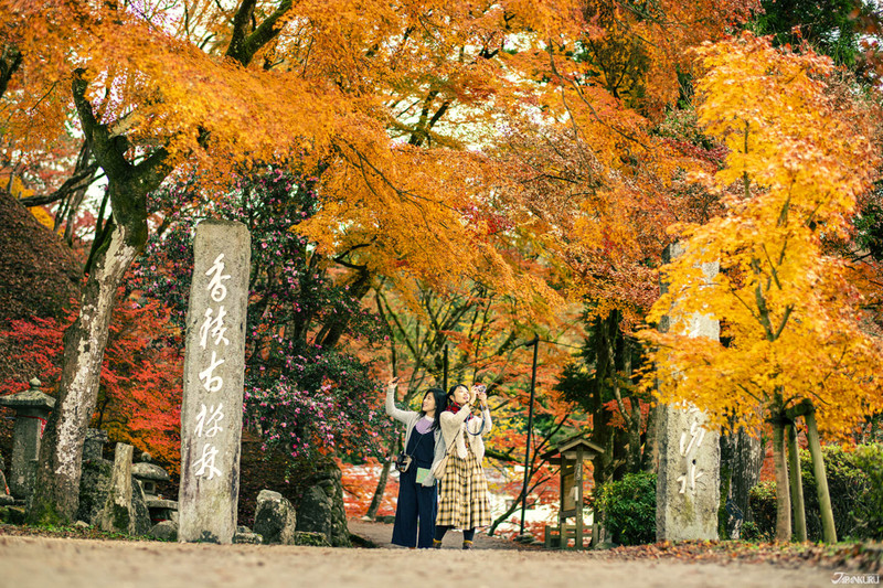 日本中部秋季旅游 谁说丰田只有汽车 红叶名所香岚溪与四季樱 热点新闻网