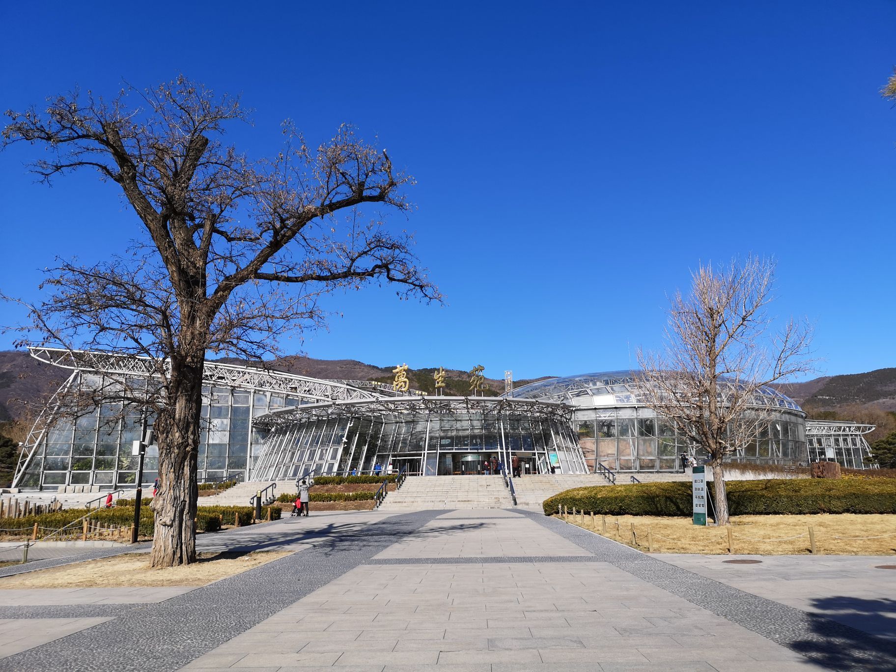北京植物园-展览温室