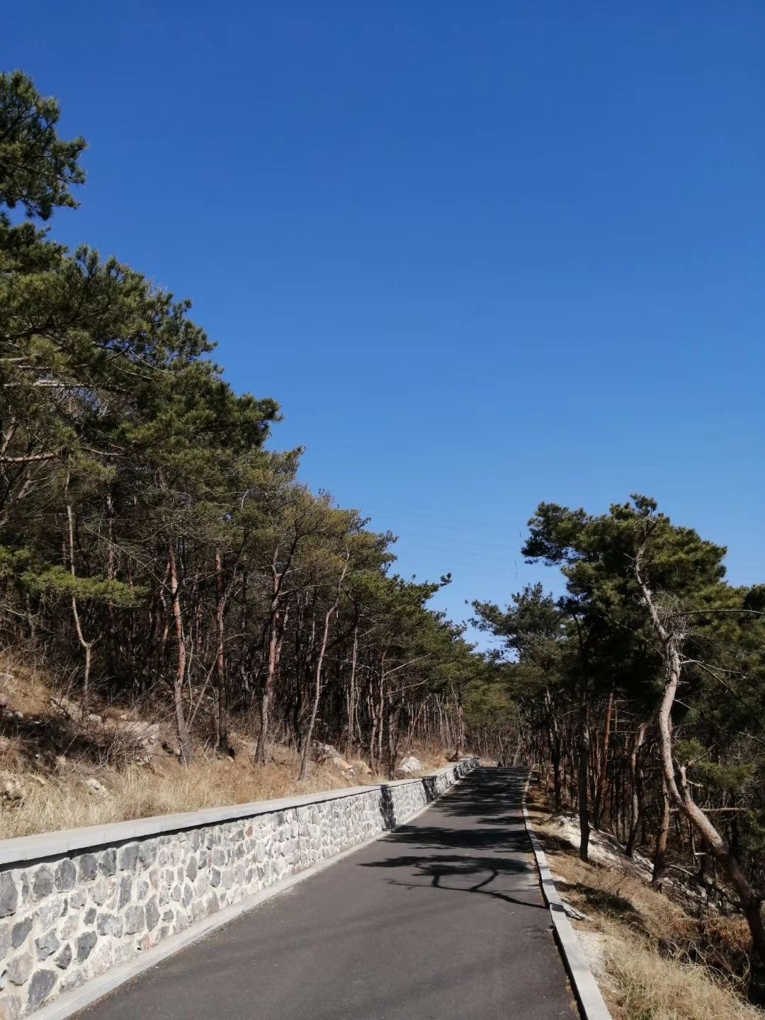 青少年生态园