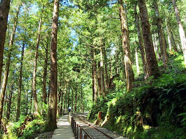 太平山国家森林游乐区