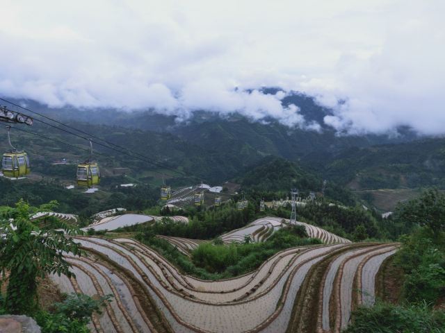 九龙五虎观景点