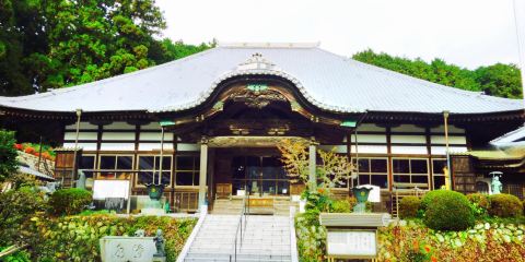 靜岡牧之原大茶園 靜岡牧之原大茶園旅遊攻略簡介當地玩樂門票酒店一覽 永安旅遊