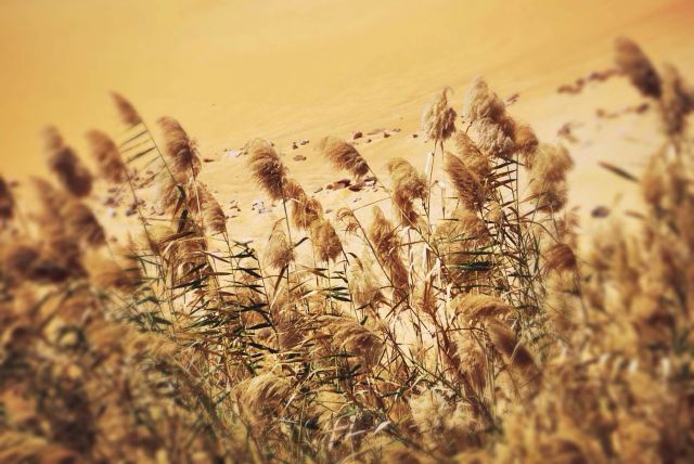 【水与火的史诗】埃及浮生八日