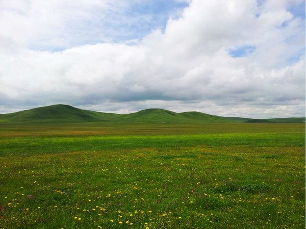 人在旅途--我的九寨溝黃龍若爾蓋大草原自助遊