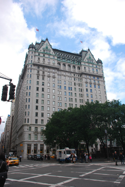 100p0i0000009qf7w5826_R_1024_10000_Q90.jpg