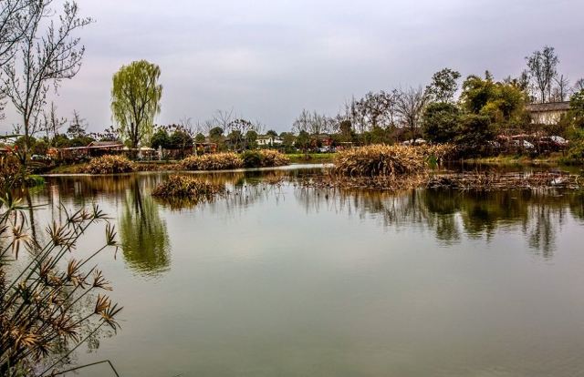 成都青槓樹景區攻略,成都青槓樹景區門票/遊玩攻略/地址/圖片/門票