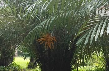 【携程攻略】江门东湖公园团购,东湖公园周边