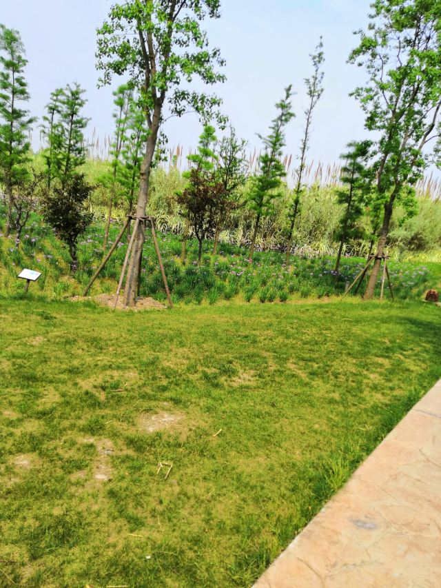 嘉义县阿里山乡迷糊步道游玩攻略简介 嘉义县阿里山乡迷糊步道门票 地址 图片 开放时间 照片 门票价格 携程攻略