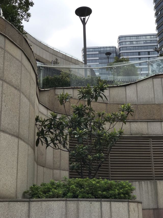 新光人寿保险摩天大楼