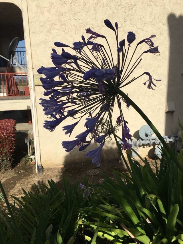 旧金山芳草地艺术中心游玩攻略简介 旧金山芳草地艺术中心门票 地址 图片 开放时间 照片 门票价格 携程攻略 旧金山芳草地艺术中心游玩攻略简介 旧金山芳草地艺术中心门票 地址 图片 开放时间 照片 门票价格 携程攻略