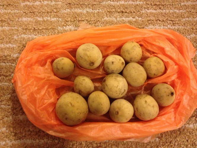 新加坡马来西亚(吉隆坡、马六甲) - 新加坡游记