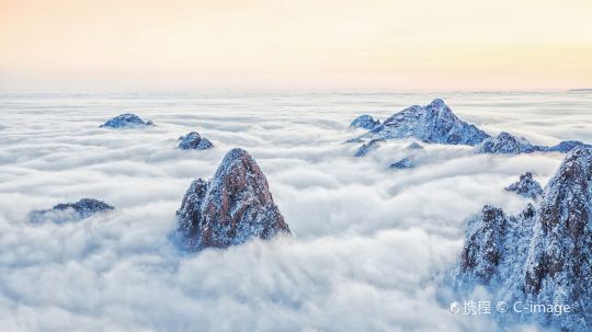VCG217217d5363