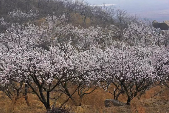 宁阳彩山