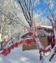 亚布力滑雪旅游度假区游记图文-2019-12遇见，冰雪