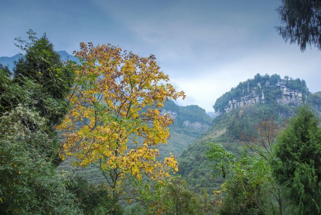 重慶山王坪喀斯特國家生態公園攻略,重慶山王坪喀斯特國家生態公園