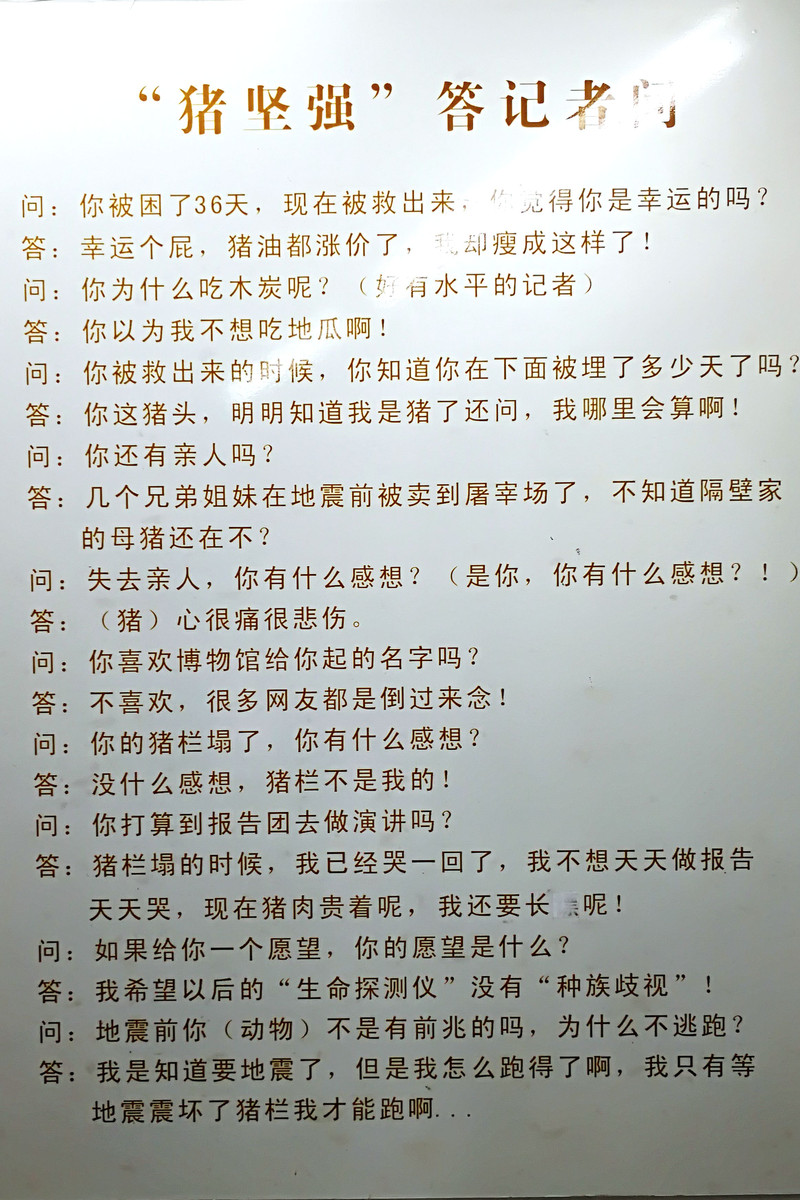 100r0v000000k1c98CADB_R_800_10000_Q90.jpg?proc=autoorient