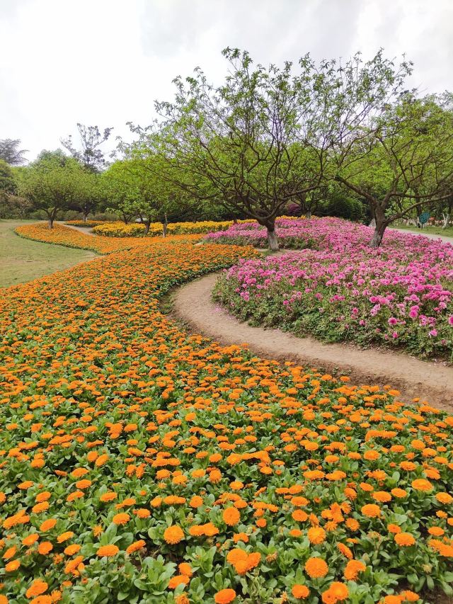 成都成都植物園攻略,成都成都植物園門票/遊玩攻略/地址/圖片/門票