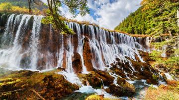shutterstock_520830343