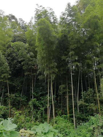 山水之旅—贵州 广西