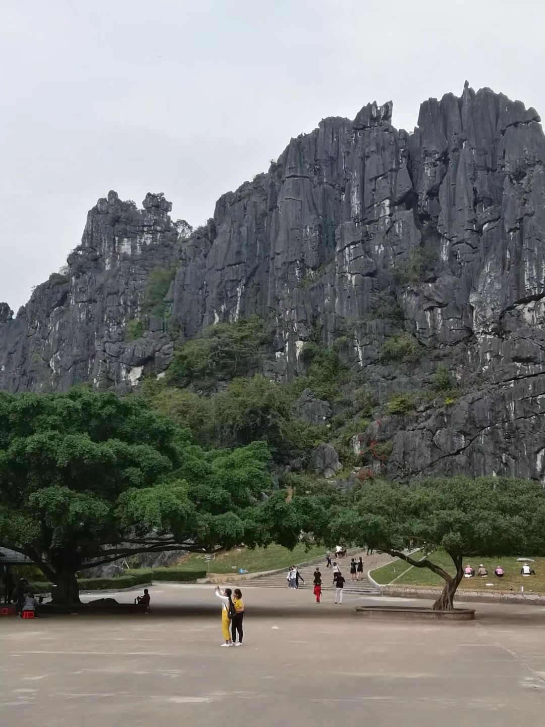 莲花洞石林