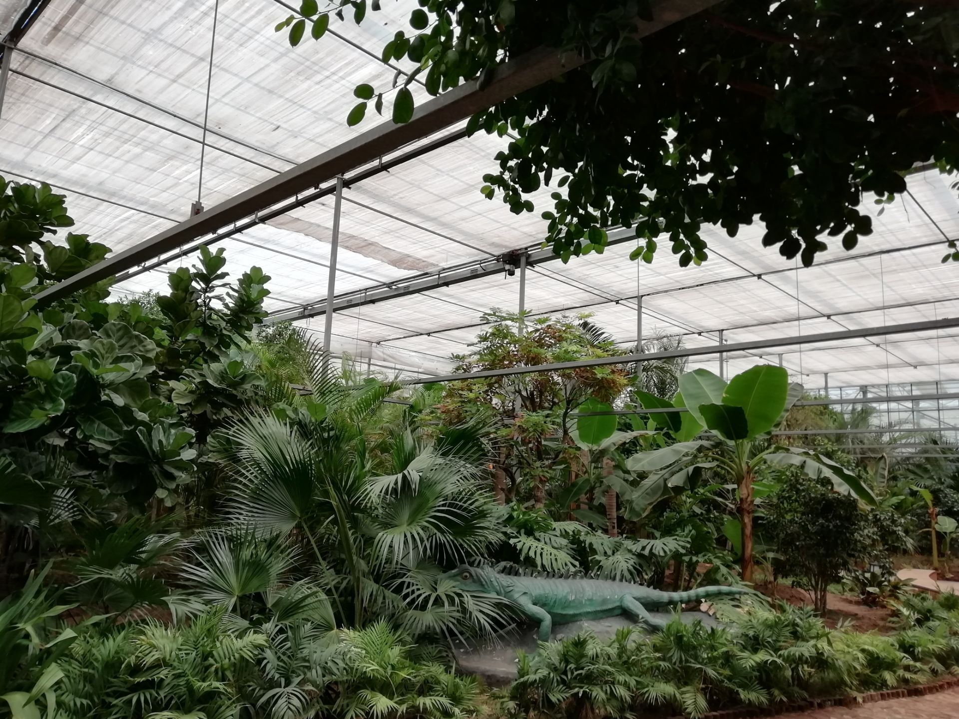 龙达热带植物园