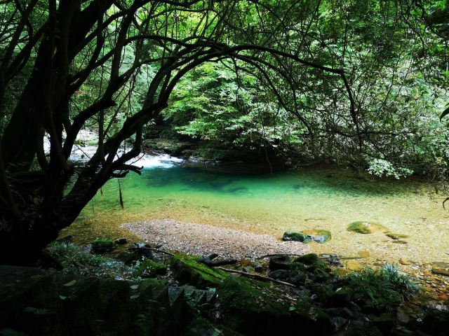 都勻斗篷山攻略,都勻斗篷山門票/遊玩攻略/地址/圖片/門票價格【攜程