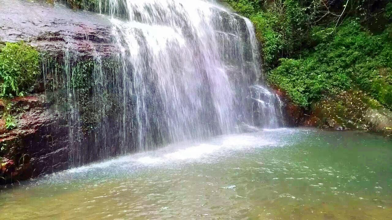 拉沟原始森林