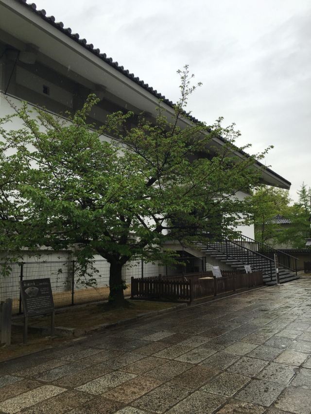 大阪四天王寺攻略,大阪四天王寺門票/遊玩攻略/地址/圖片/門票價格