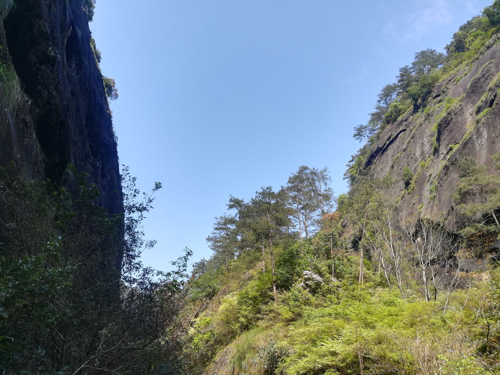 大安源生态旅游