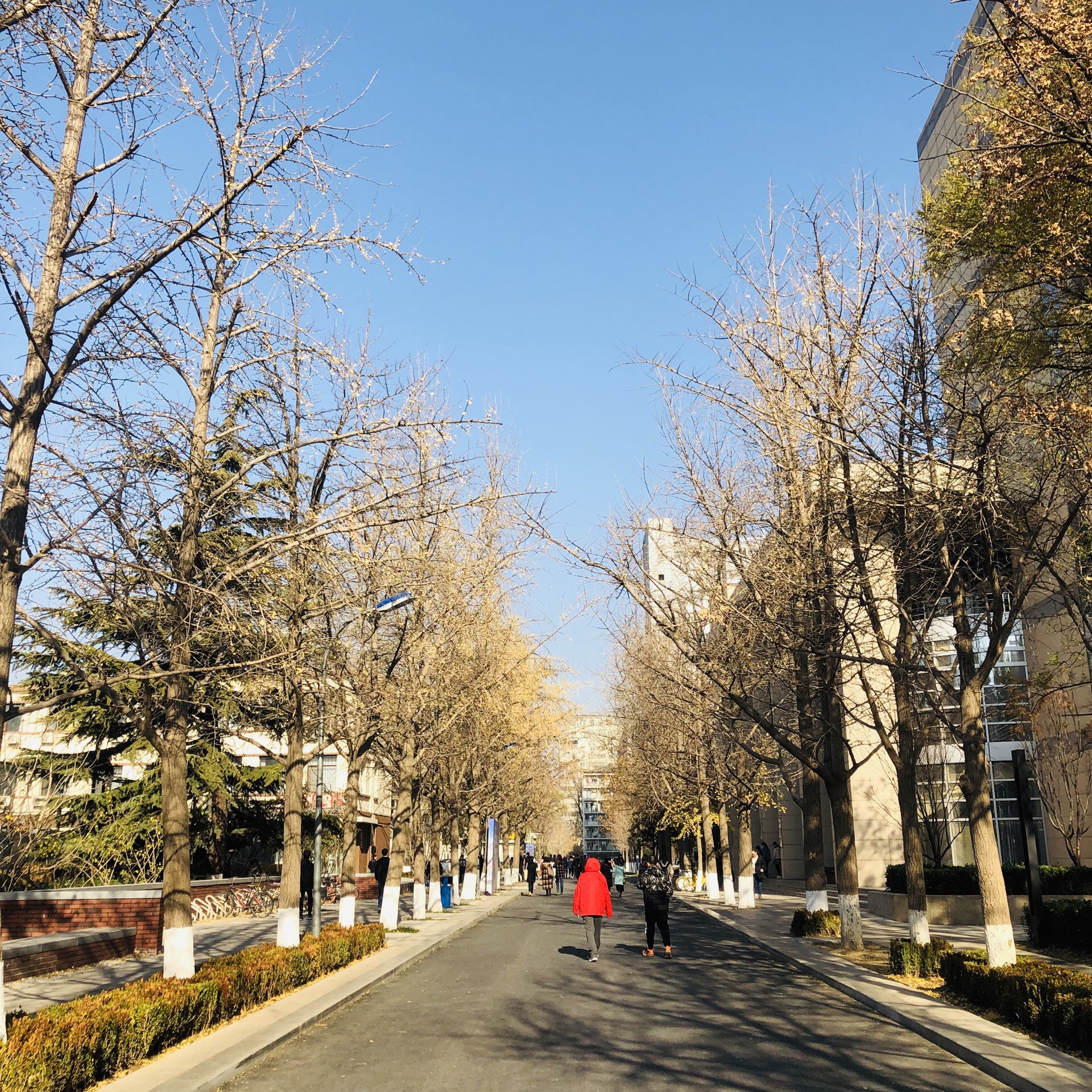 北京化工大学(北校区)-礼仪广场