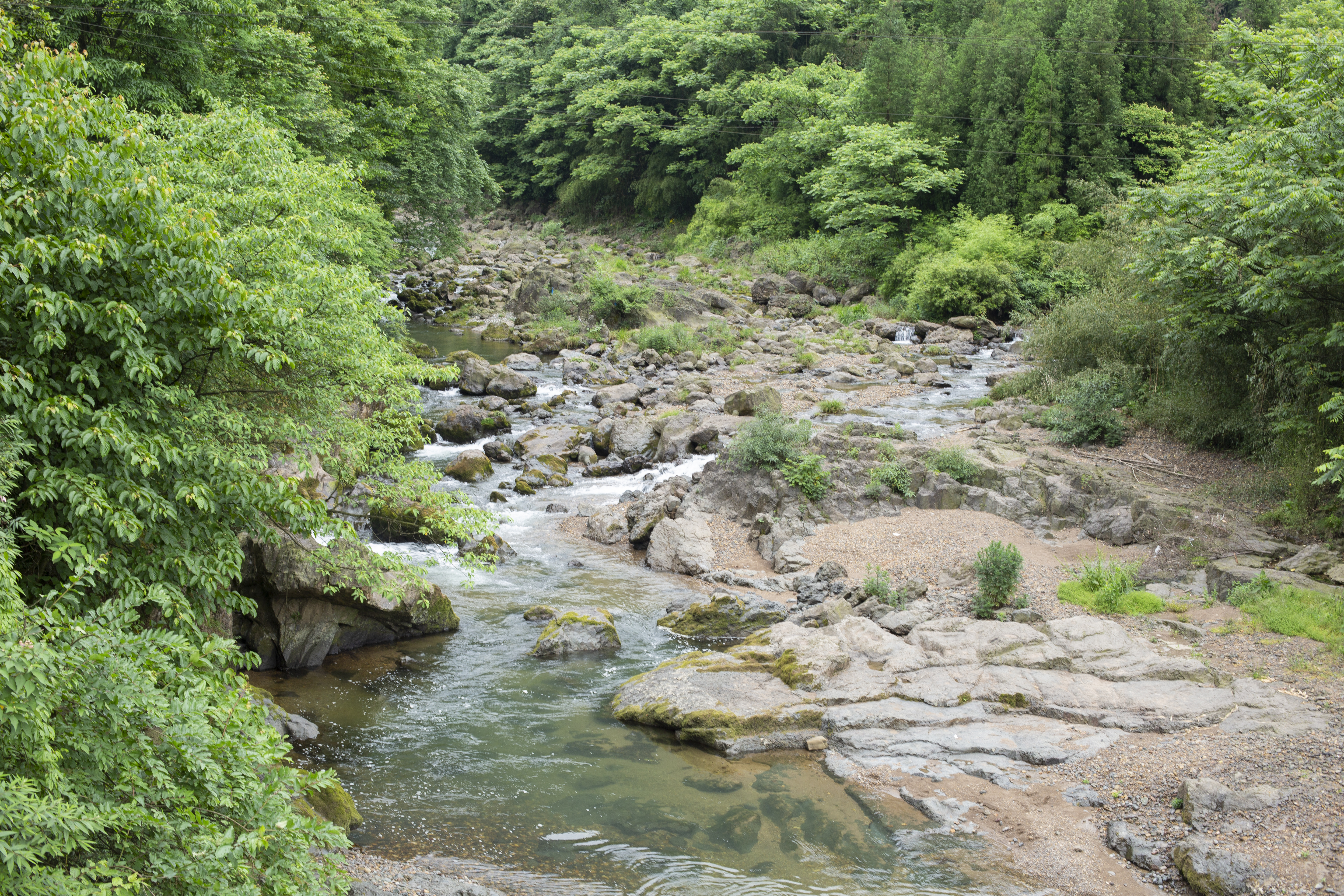 峨嵋半山七里坪国际度假区